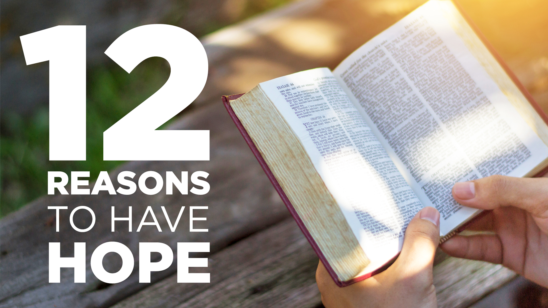 Read more about the article 12 Reasons to Have Hope